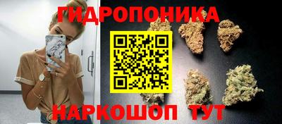 молекула духа Гай