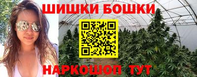 apvp Гатчина