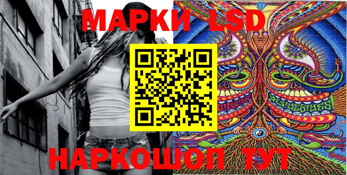МЕФ Кандалакша
