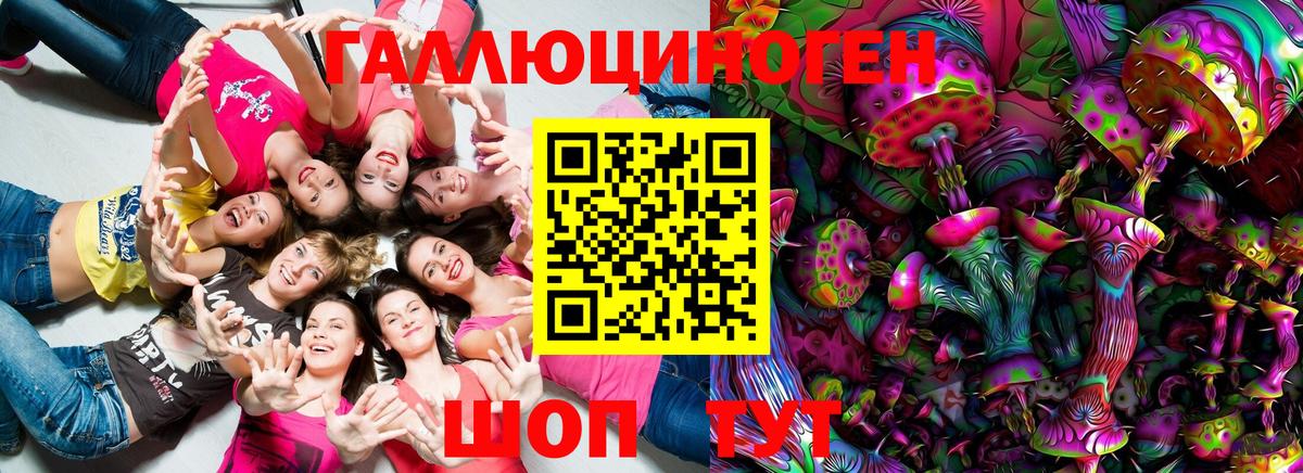 Псилоцибиновые грибы MAGIC MUSHROOMS  Вход с VPN  Кандалакша 