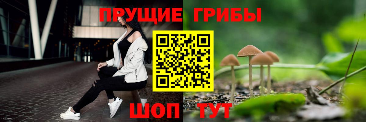 Галлюциногенные грибы Cubensis Кандалакша